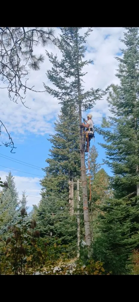Expert landscape design in Coeur d'Alene, ID - Huck N Stone Timber And Massonry