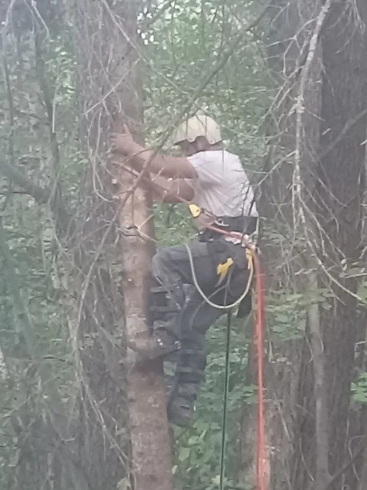 Expert landscaping services experts serving Coeur d'Alene, ID - Huck N Stone Timber And Massonry