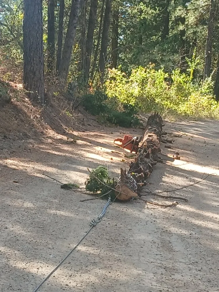 Custom landscape installation in Coeur d'Alene, ID - Huck N Stone Timber And Massonry