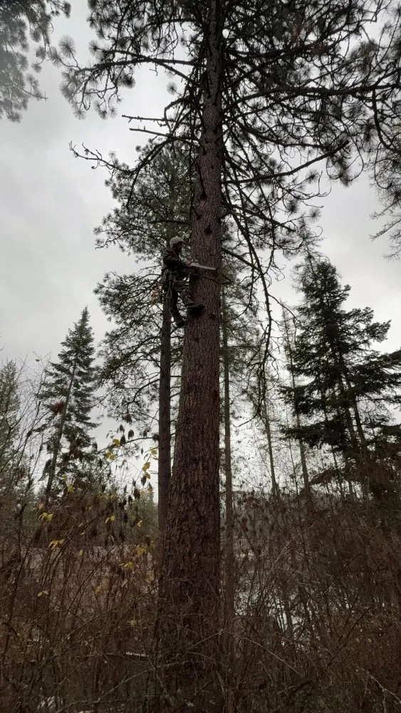 Top-rated yard cleanup service for residential properties in Coeur d'Alene, ID by Huck N Stone Timber And Massonry