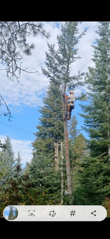 Expert residential landscaping in Coeur d'Alene, ID - Huck N Stone Timber And Massonry