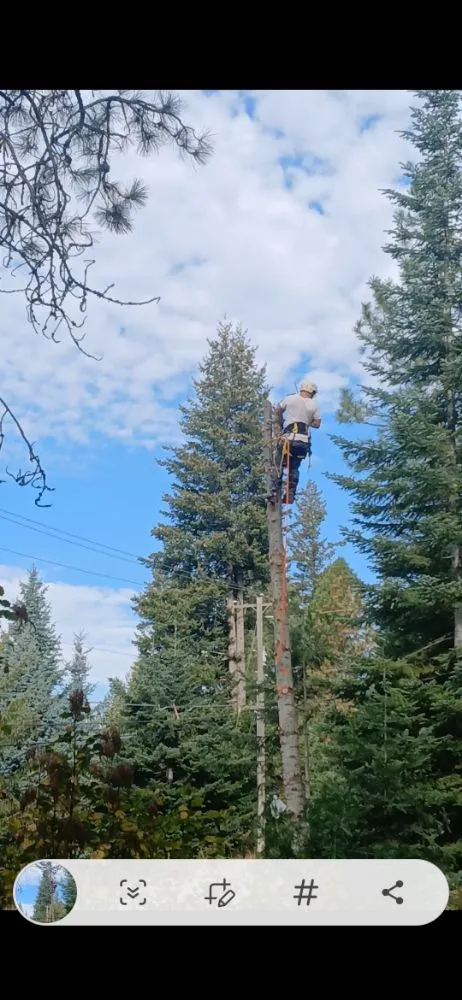 Top-rated garden landscaping for beautiful yards across Coeur d'Alene, ID - Huck N Stone Timber And Massonry