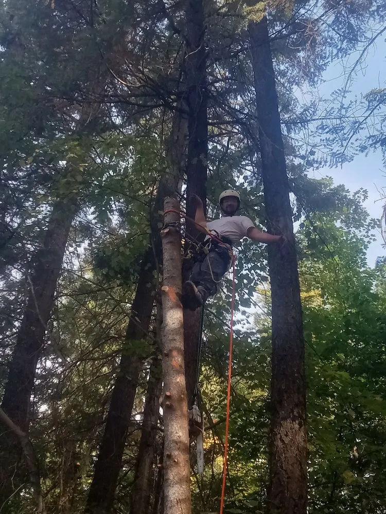 Professional yard maintenance for residential properties in Coeur d'Alene, ID by Huck N Stone Timber And Massonry
