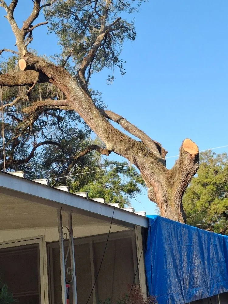 Affordable yard cleanup service in Brooksville, FL - Huckabey Lawn and Tree