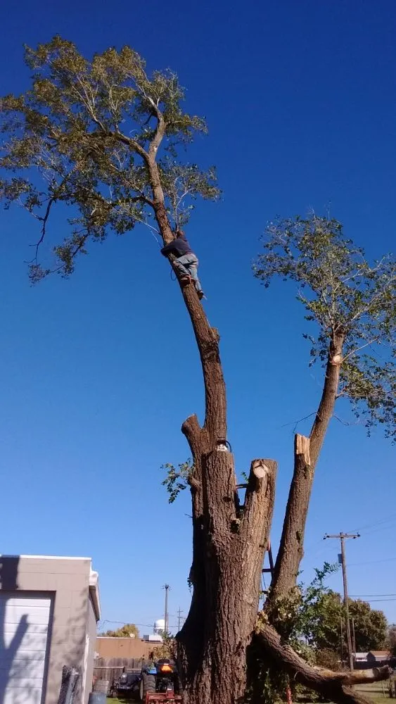 Local landscape design in Brooksville, FL - Huckabey Lawn and Tree