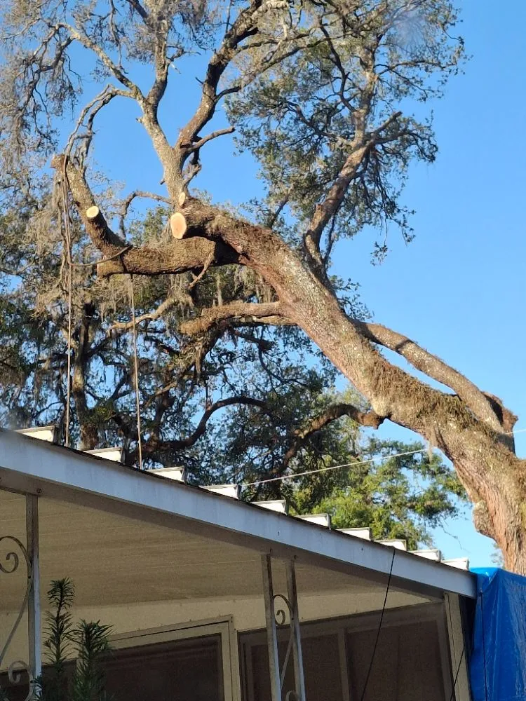 Reliable landscape installation experts serving Brooksville, FL - Huckabey Lawn and Tree