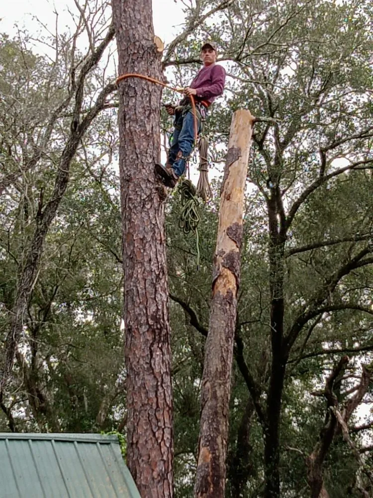 Professional lawn mowing service experts serving Brooksville, FL - Huckabey Lawn and Tree