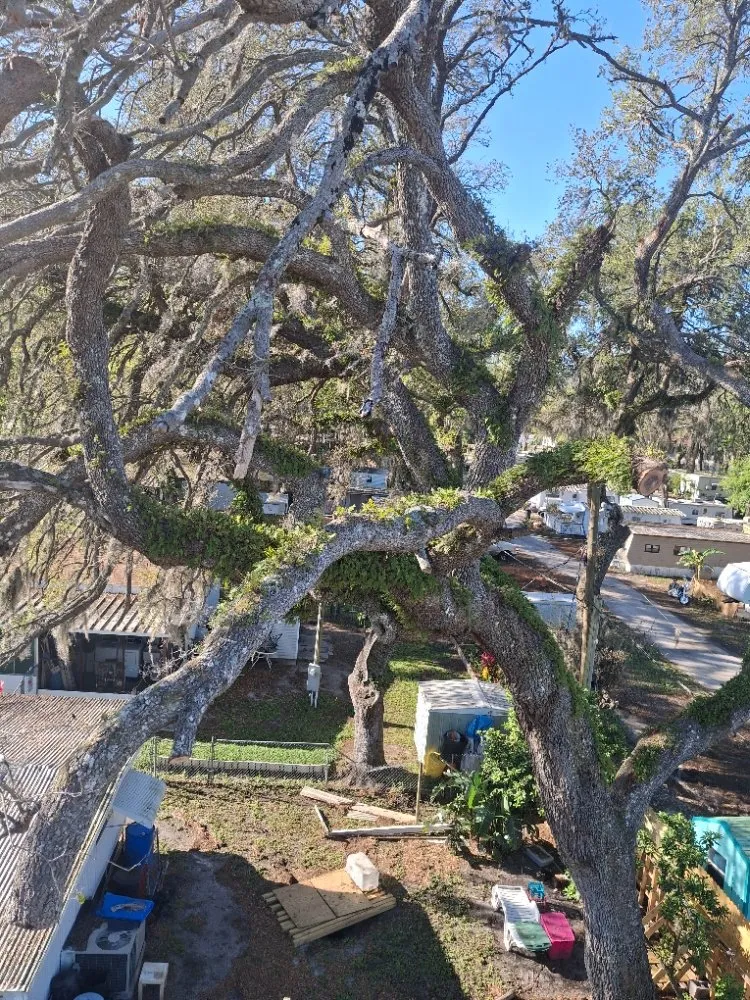 Affordable garden landscaping for outdoor upgrades in Brooksville, FL by Huckabey Lawn and Tree