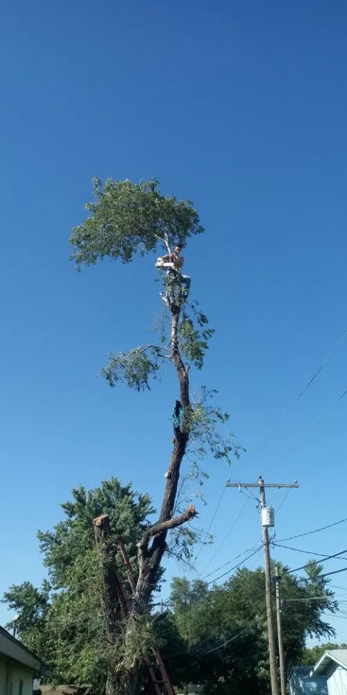 Affordable lawn mowing service in Brooksville, FL by Huckabey Lawn and Tree