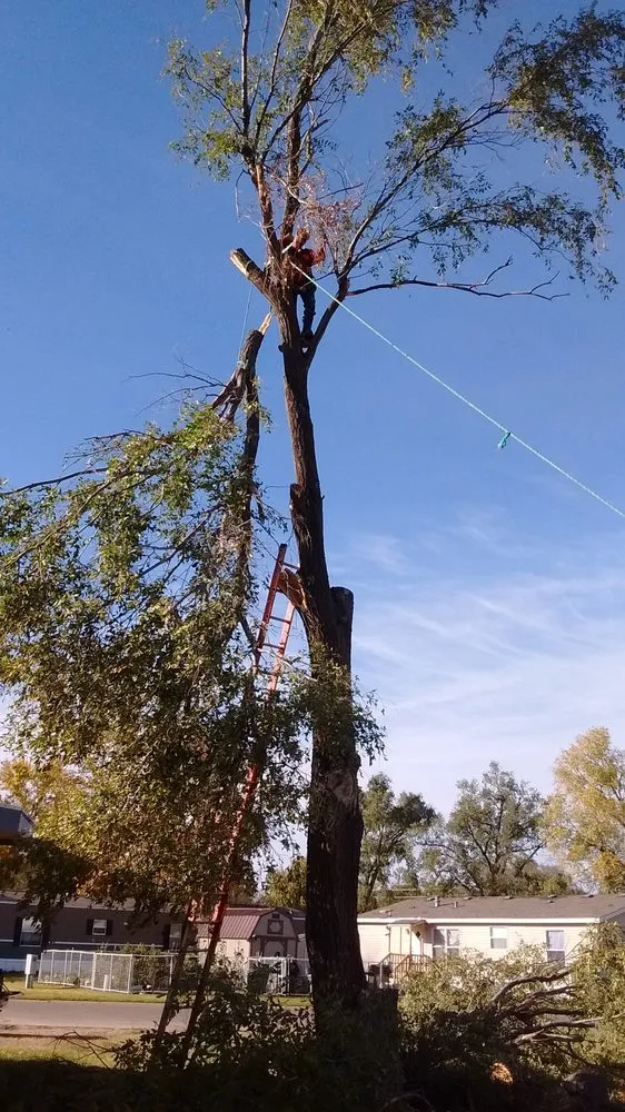 Affordable lawn care service in Brooksville, FL - Huckabey Lawn and Tree
