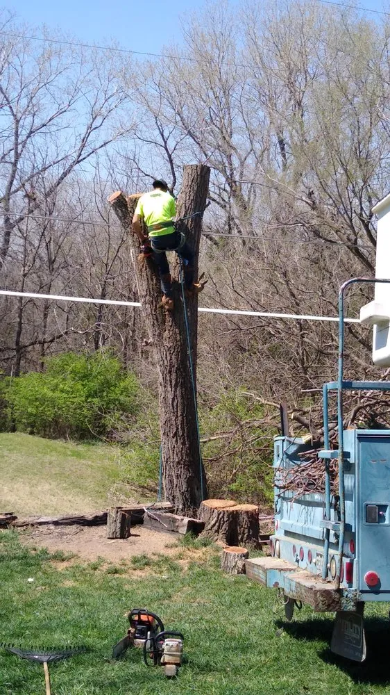 Trusted residential landscaping in Brooksville, FL by Huckabey Lawn and Tree