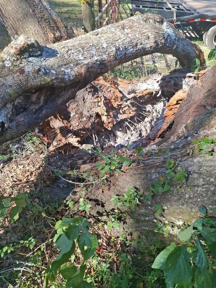 Local garden landscaping in Brooksville, FL by Huckabey Lawn and Tree