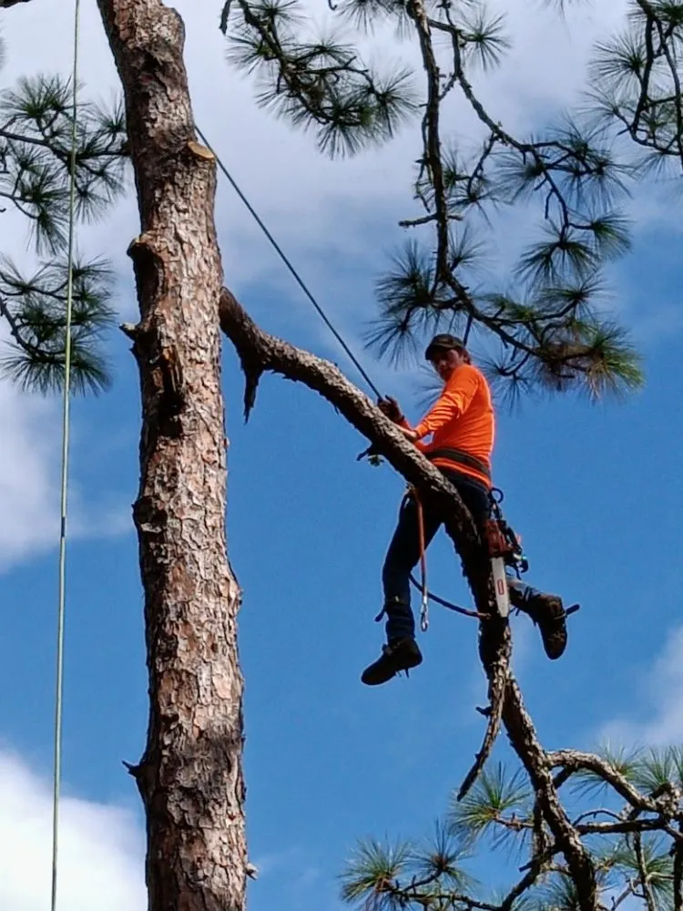Local landscape installation for outdoor upgrades in Brooksville, FL by Huckabey Lawn and Tree
