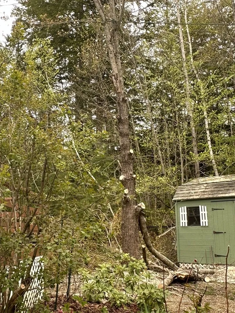 Affordable yard maintenance for residential properties across Alton, NH - Huckins Tree & Landscape