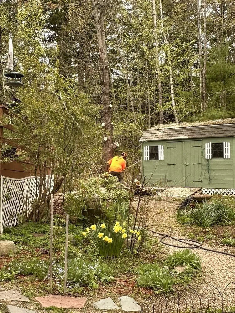 Expert lawn care service in Alton, NH - Huckins Tree & Landscape