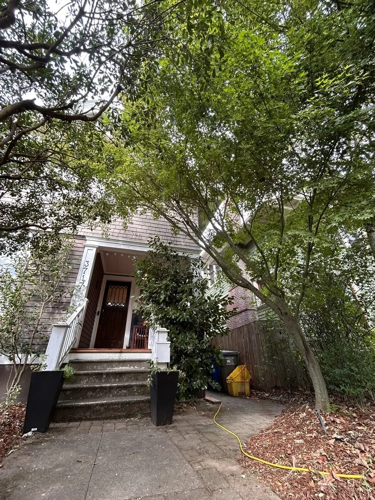 Top-rated yard cleanup service in Portland, OR by Huckleberry Tree Care