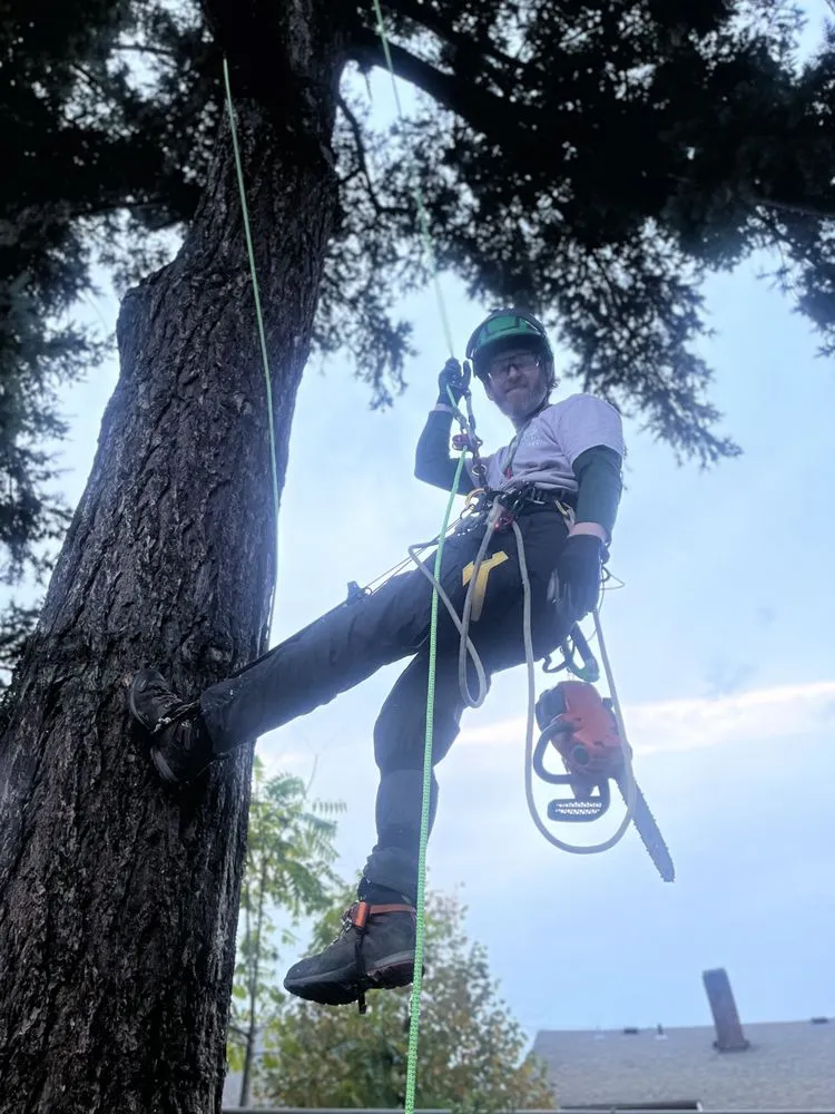 Reliable lawn mowing service with custom design across Portland, OR - Huckleberry Tree Care