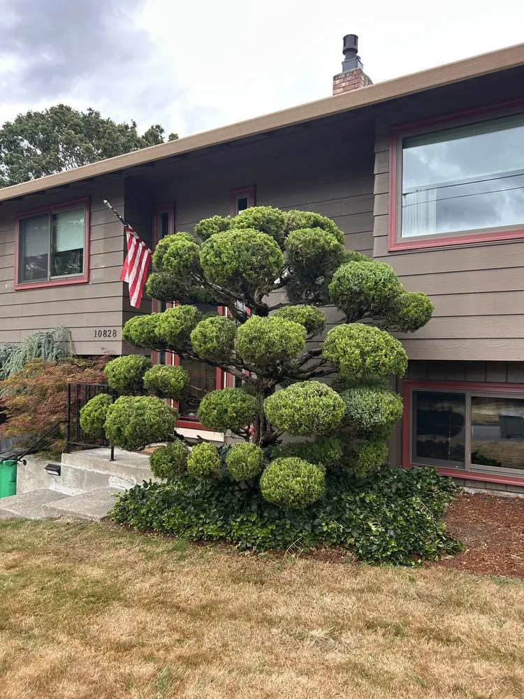 Local residential landscaping in Portland, OR - Huckleberry Tree Care