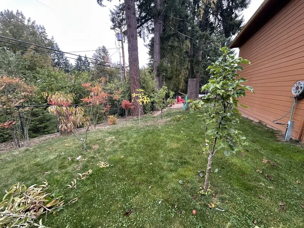 Professional lawn care service for outdoor upgrades across Portland, OR - Huckleberry Tree Care