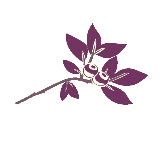 Reliable yard cleanup service in Portland, OR by Huckleberry Tree Care