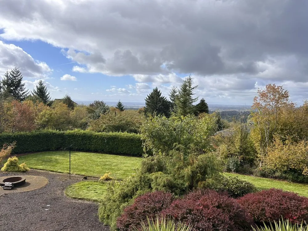 Professional outdoor landscaping in Portland, OR by Huckleberry Tree Care