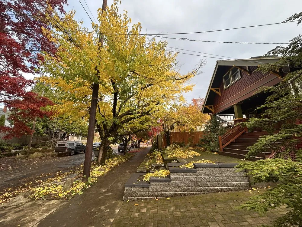 Local residential landscaping in Portland, OR by Huckleberry Tree Care