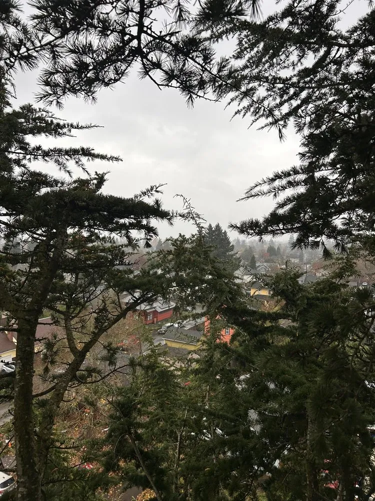 Local residential landscaping for residential properties across Portland, OR - Huckleberry Tree Care