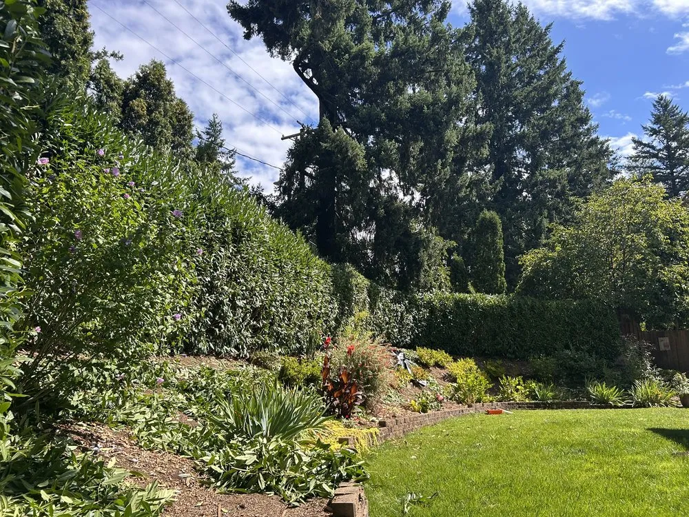 Trusted lawn mowing service experts serving Portland, OR - Huckleberry Tree Care