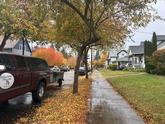 Huckleberry Tree Care Logo