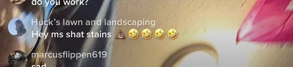 Huck's Lawn Care Logo