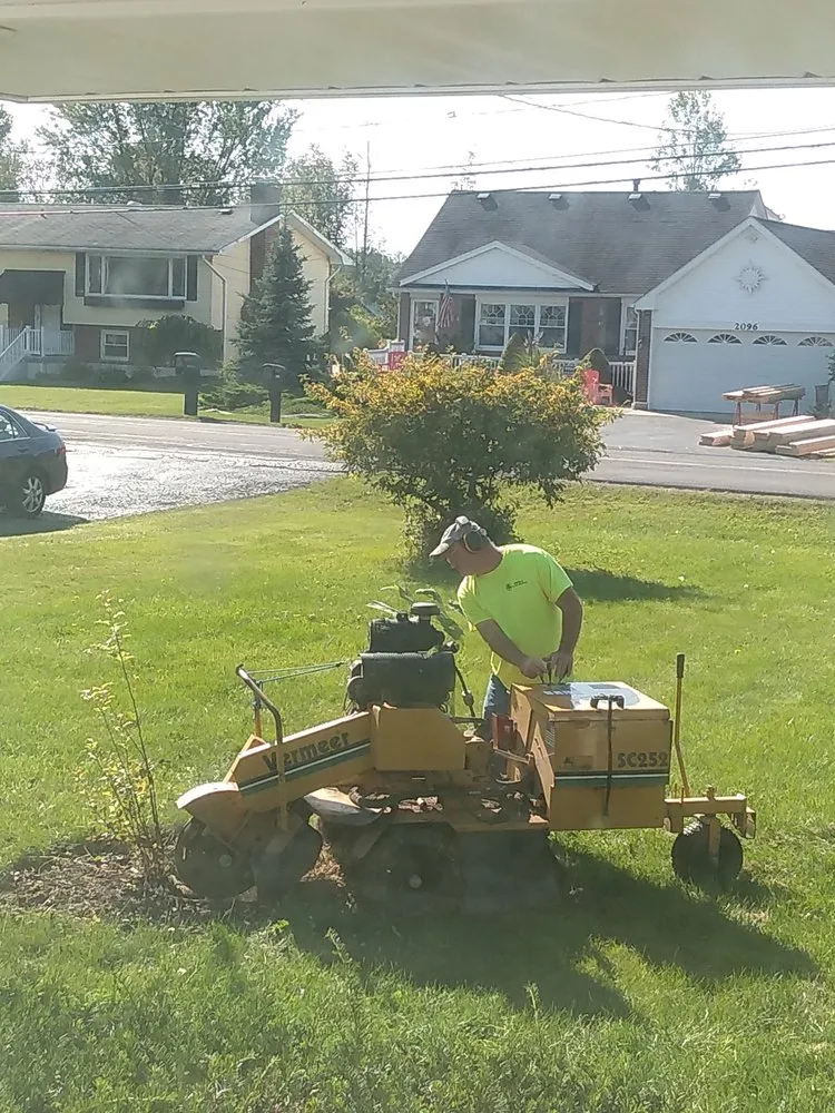 Top-rated garden landscaping near you in Buffalo, NY by Huck's Stump Grinding