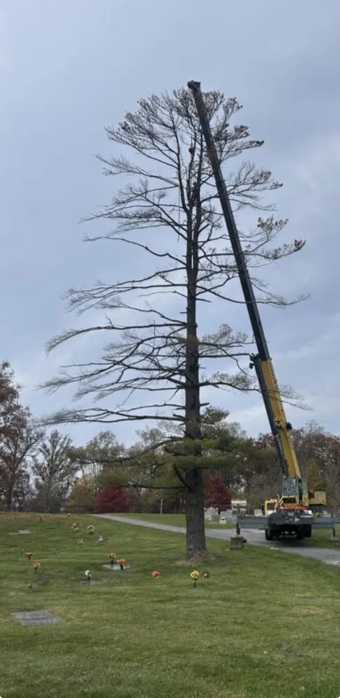 Expert lawn care service with custom design in Holly Springs, NC by Huddy Landscaping & Tree Service