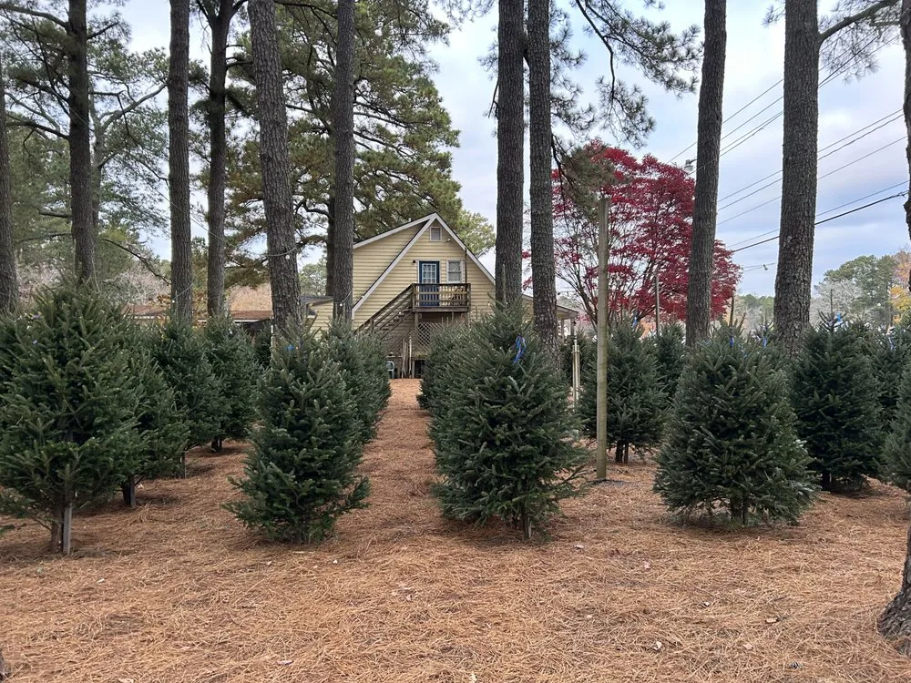 Affordable yard cleanup service in Hayes, VA by Hudgins Nursery & Garden Center