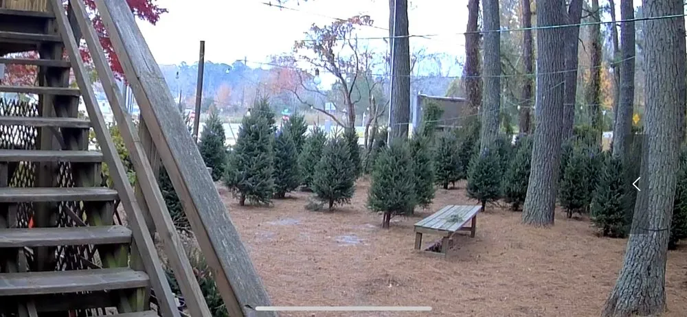 Top-rated outdoor landscaping in Hayes, VA by Hudgins Nursery & Garden Center