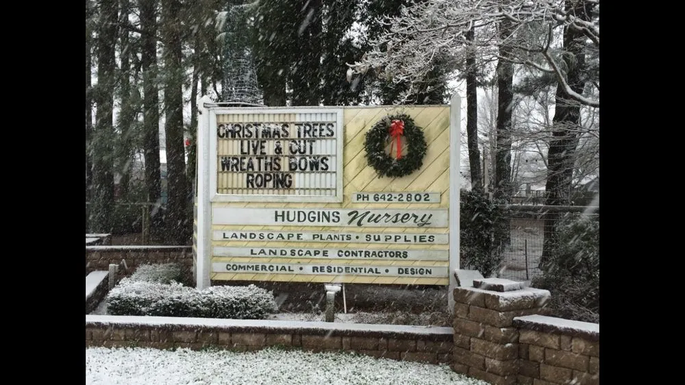Top-rated garden landscaping in Hayes, VA - Hudgins Nursery & Garden Center