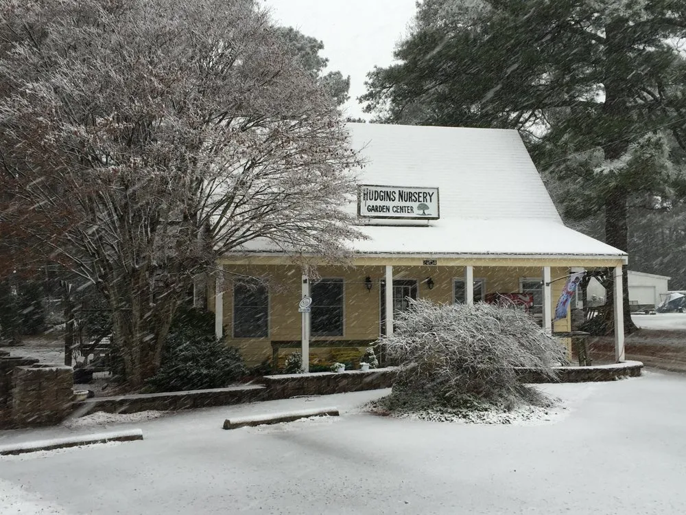 Expert outdoor landscaping for year-round maintenance in Hayes, VA by Hudgins Nursery & Garden Center