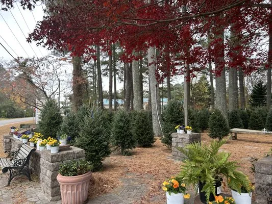 Hudgins Nursery & Garden Center