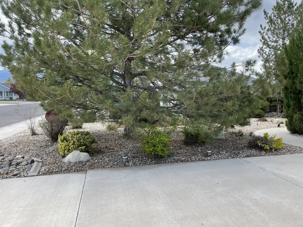 Custom landscape design in Carson City, NV by Hudson Bells Paint & Landscape