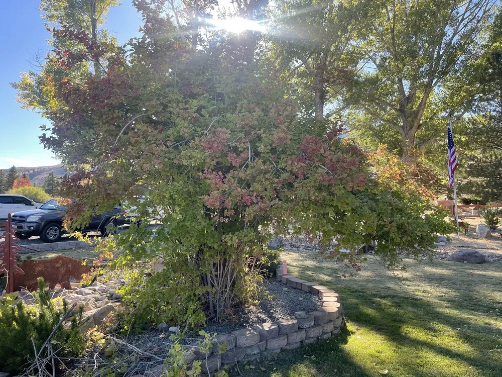 Top-rated residential landscaping for residential properties across Carson City, NV - Hudson Bells Paint & Landscape