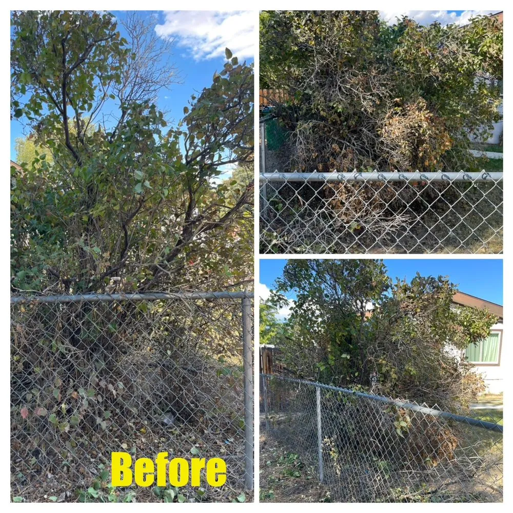 Affordable residential landscaping for homes in Carson City, NV by Hudson Bells Paint & Landscape