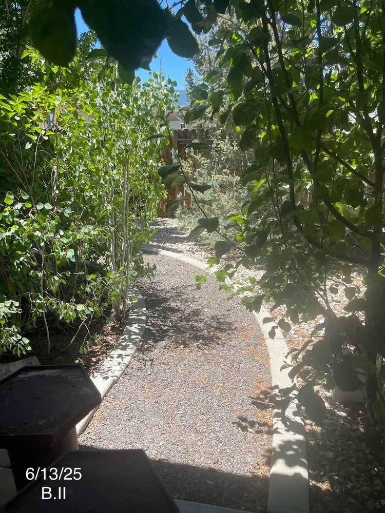 Top-rated yard cleanup service near you in Carson City, NV by Hudson Bells Paint & Landscape