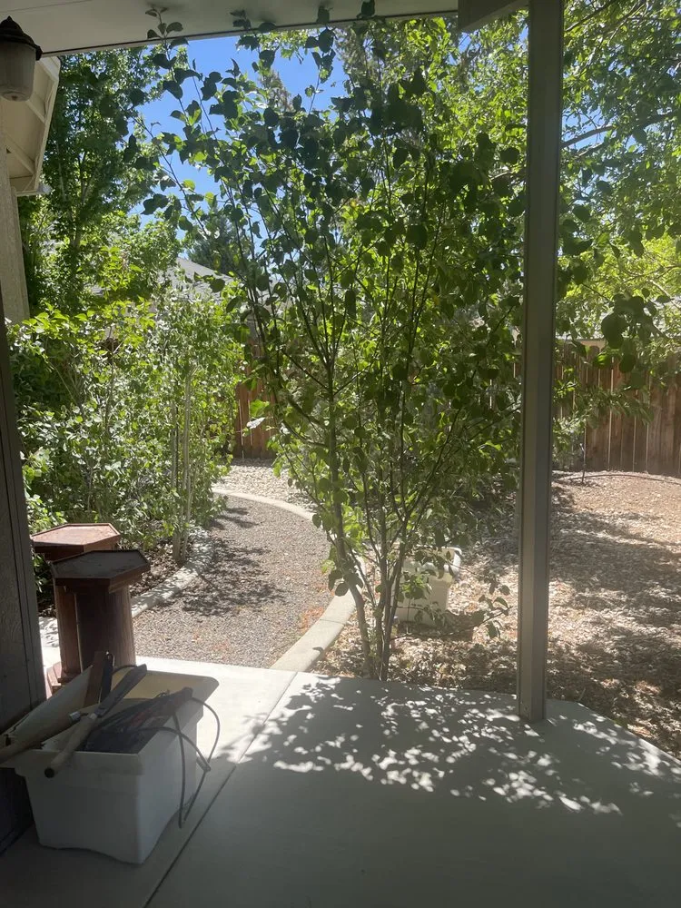 Local landscape design experts serving Carson City, NV - Hudson Bells Paint & Landscape