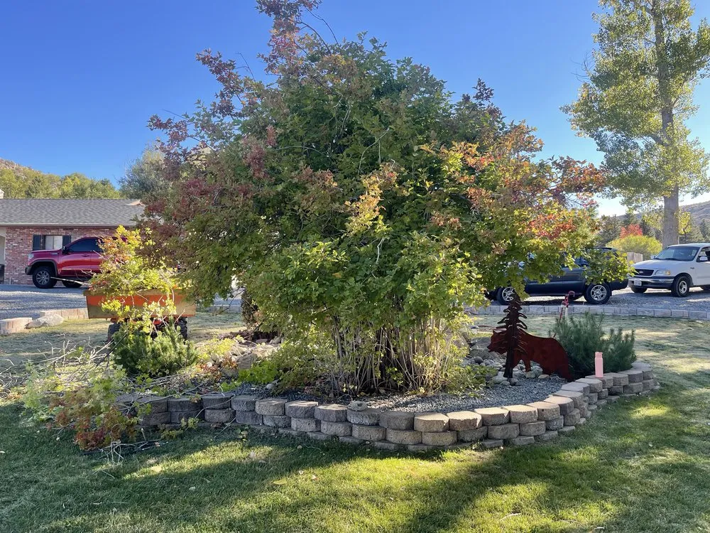 Affordable landscape design in Carson City, NV by Hudson Bells Paint & Landscape