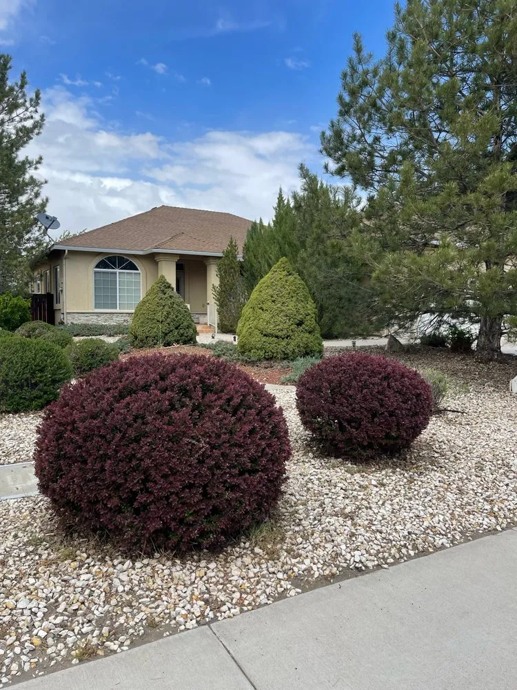 Custom yard maintenance for beautiful yards across Carson City, NV - Hudson Bells Paint & Landscape