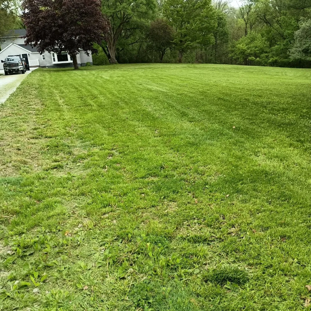 Affordable yard maintenance in North Branch, MI by Hudson Hauling And Junk Removal