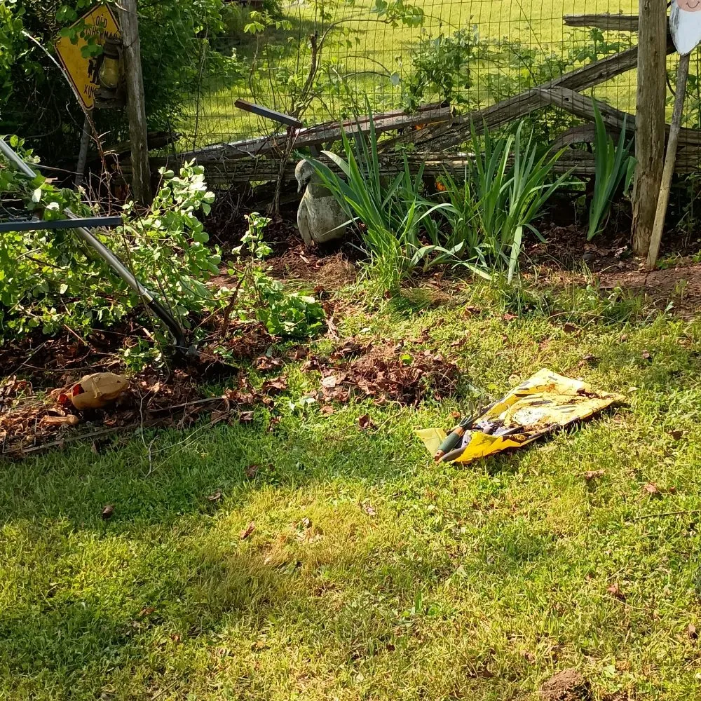 Local lawn care service for beautiful yards across North Branch, MI - Hudson Hauling And Junk Removal