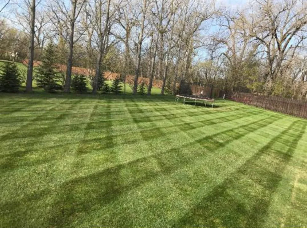 Affordable outdoor landscaping in North Branch, MI by Hudson Hauling And Junk Removal