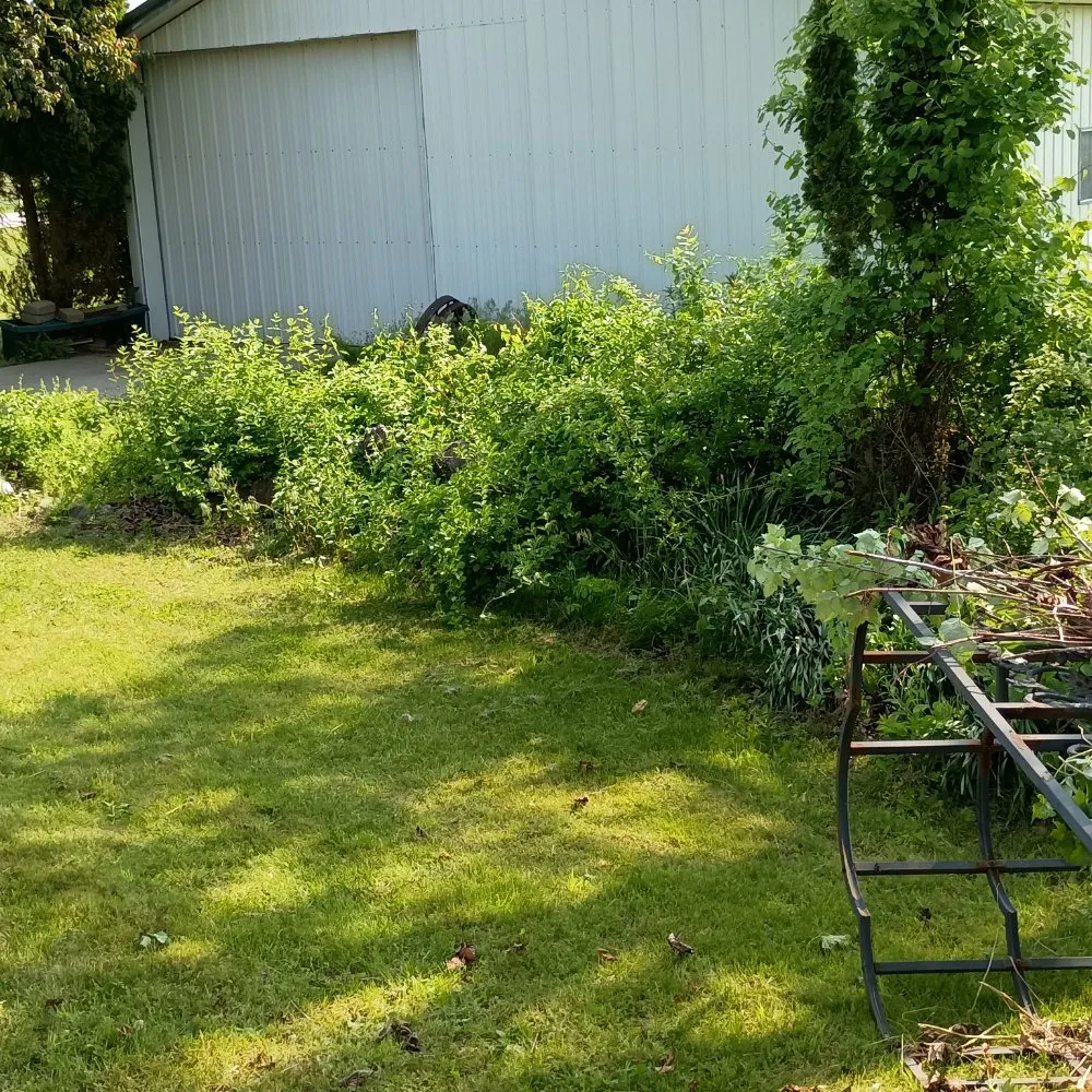 Top-rated yard cleanup service experts serving North Branch, MI - Hudson Hauling And Junk Removal
