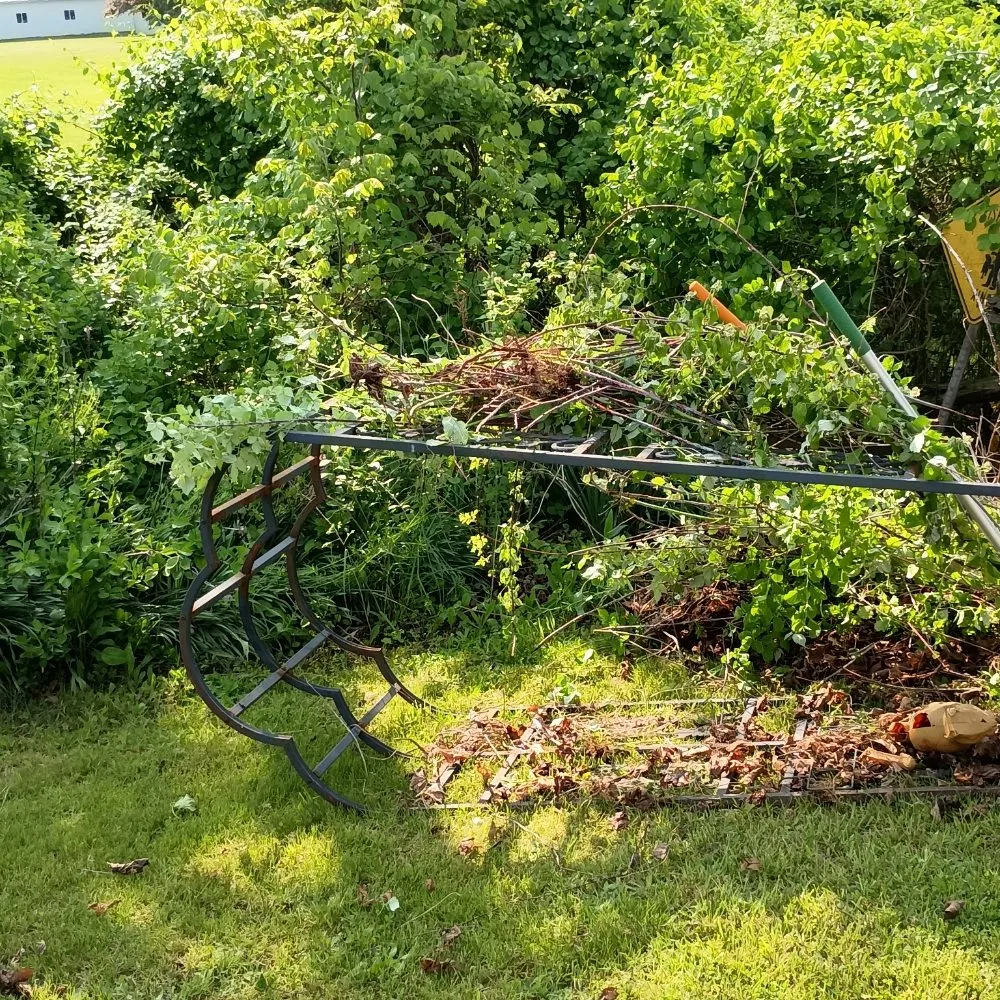 Expert yard maintenance for outdoor upgrades in North Branch, MI by Hudson Hauling And Junk Removal