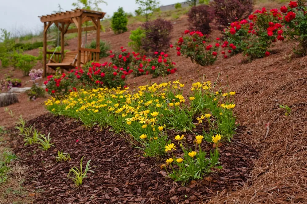 Trusted yard maintenance for beautiful yards in Canton, GA by Hudson Landscape Services LLC
